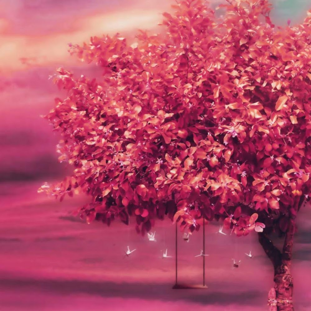 Meet your Posher, Rhonda